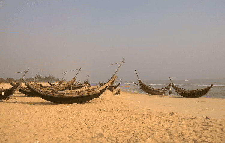  Ngư dân được mùa cá cơm